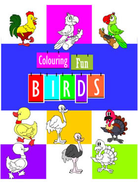 Little Scholarz Colouring Fun - Birds